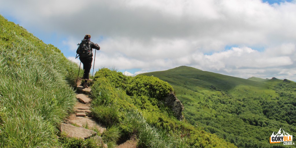 Bieszczady-Tarnica-Halicz-59